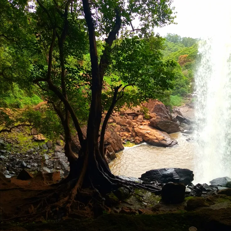 River between mountains
