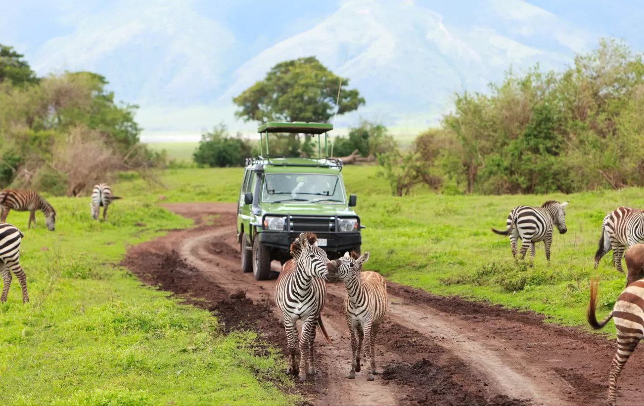 Samburu National Reserve safari tour from Eldoret